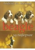 Beagle są najlepsze