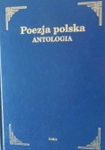 Poezja Polska antologia