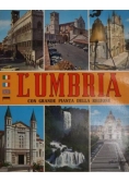 L'umbria Con Grande Pianta Della Regione