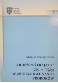 Ogień pożerający W zbiorze dwunastu proroków