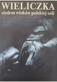 Wieliczka siedem wieków polskiej soli