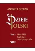 Dzieje Polski. Tom 3