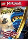 Ninja kontra podniebni piraci