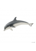 Delfin