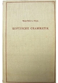 Kaptische grammatik
