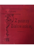Z puszczy Białowieskiej, 1908r.