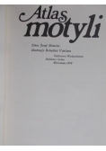 Atlas motyli