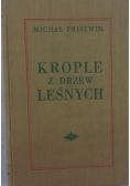 Krople z drzew leśnych