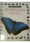 Zdumiewające motyle