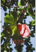 Inny