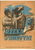 Rzeka w Pustyni