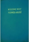 Wiosenne wody