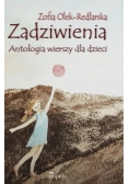 Zadziwienia