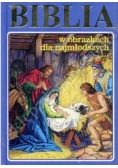 Biblia w obrazkach dla najmłodszych