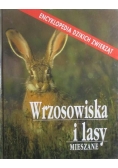 Wrzosowiska i lasy mieszane