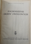 Pochodzenia  drzew owocowych