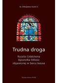 Trudna droga
