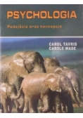 Psychologia. Podejścia oraz koncepcje