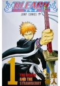 Bleach, The Death and the Strawberry, Tom 1