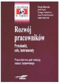 Rozwój pracowników Przesłanki ,cele,instrumenty