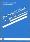 Profesjologia w zarysie
