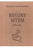 Rośliny Wydm
