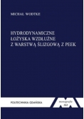 Hydrodynamiczne łożyska wzdłużne z warstwą ślizgową z PEEK
