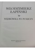 Wędrówka po puszczy