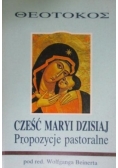 Cześć Maryi dzisiaj propozycje pastoralne