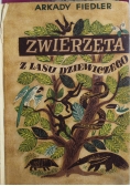 Zwierzęta z lasu dziewiczego 1946 r