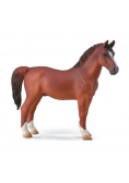 Hackney Stallion Chestnut