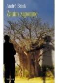 Zanim zapomnę