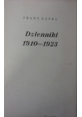 Dzienniki 1910-1923