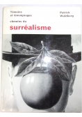 Temoins et temoignages chemins du surrealisme