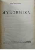 Mykorhiza