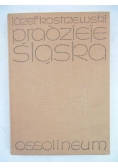 Pradzieje Śląska