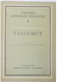 Tasiemce
