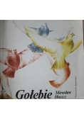 Gołębie