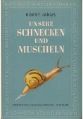 Unsere Schnecken und Muscheln