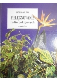 Pielęgnowanie roślin pokojowych Część II