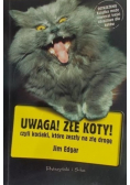 Uwaga Złe koty czyli kociaki które zeszły na złą drogę