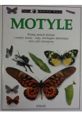 Motyle