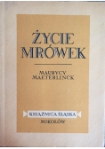Życie mrówek, 1947 r.