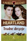 Heartland 4. Trudne decyzje