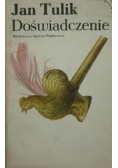 Doświadczenie