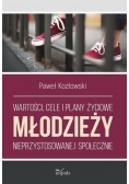 Wartości, cele i plany życiowe młodzieży