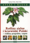 Atlas i klucz, rośliny zielne i krzewinki Polskie