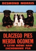 Dlaczego pies merda ogonem