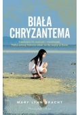 Biała chryzantema