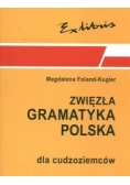 Zwięzła Gramatyka Polski